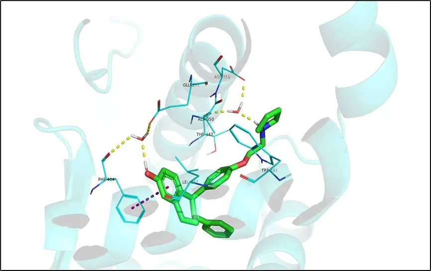 Кадр молекулярно-динамической симуляции лазофоксифена (не имеет утеротропного эффекта, но не одобрен для лечения рака молочной железы)