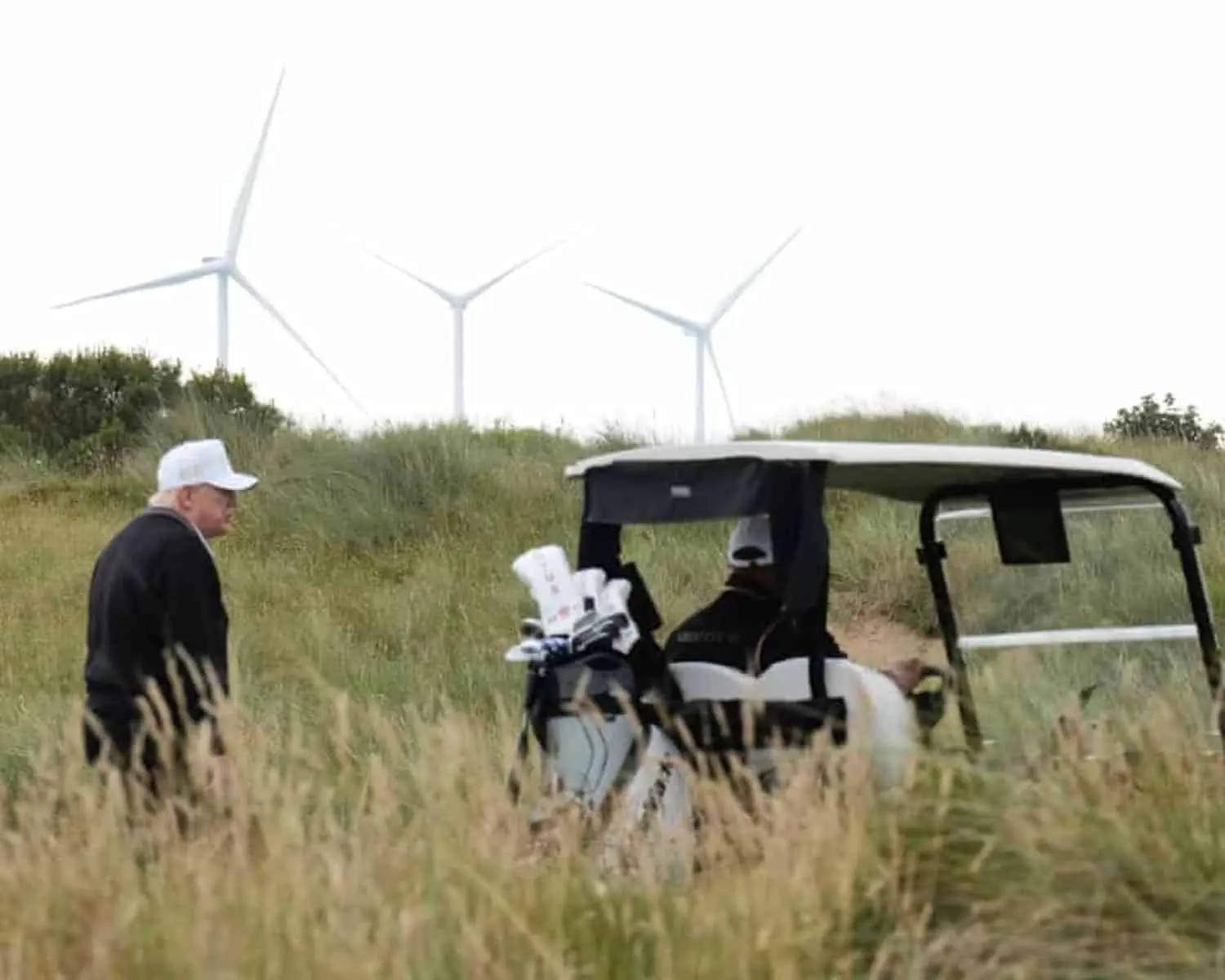 Трамп делится взглядом на развитие ИИ и возобновляемой энергетики в США-0