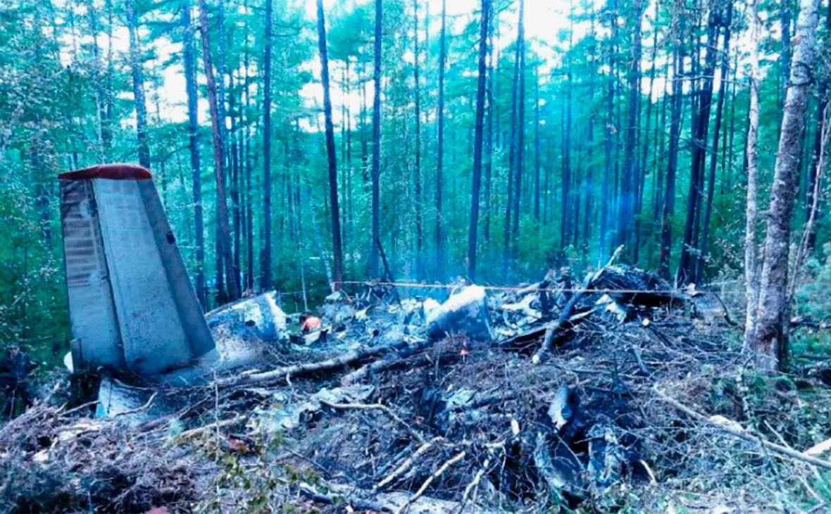 Фрагменты самолета Aн-24 на месте крушения (Межгосударственный авиационный комитет)