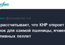 Россия и Китай расширяют сотрудничество, по словам Решетникова о перспективах экспорта rossiya i kitaj rasshiryayut sotrudnichestvo po slovam reshetnikova o perspektivah eksporta-gazetarf-ru-0