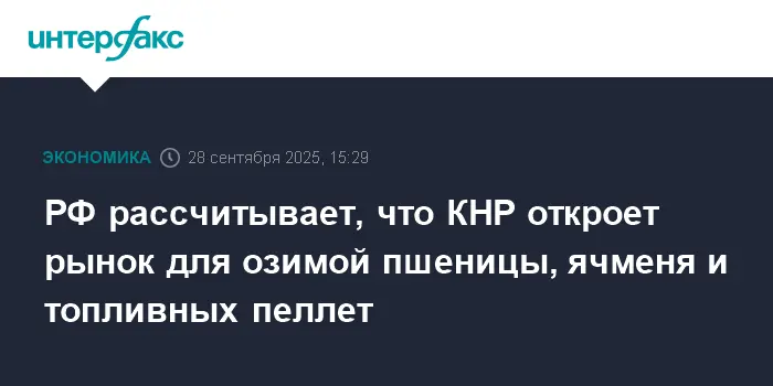 Россия и Китай расширяют сотрудничество, по словам Решетникова о перспективах экспорта-0
