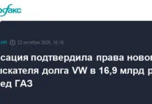 Арбитраж подтвердил успешную замену взыскателя долга Volkswagen AG в пользу АО 'Камея' arbitrazh podtverdil uspeshnuyu zamenu vzyskatelya dolga v polzu ao kameya-gazetarf-ru-0