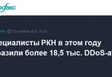 Более 18,5 тыс. DDoS-атак успешно отражены специалистами РКН и ГРЧЦ в 2025 году bolee 185 tys atak uspeshno otrazheny speczialistami rkn i grchcz v 2025 godu-gazetarf-ru-0