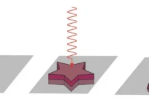 czifrovye dvojniki bfu predstavlyayut proryv sofi kovalevskoj v nanofotonike-gazetarf-ru-0