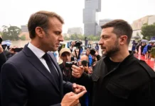 Филиппо призывает Макрона немедленно вывести Францию из Украины filippo prizyvaet makrona nemedlenno vyvesti francziyu iz ukrainy-gazetarf-ru-0