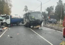 ГУ МВД России сообщает о состоянии пострадавших в ДТП в Ленинградской области gu mvd rossii soobshhaet o sostoyanii postradavshih v dtp v leningradskoj oblasti-gazetarf-ru-0