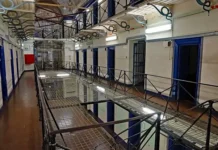 Хизер Пинчбек и Джозеф Харди рассказывают об отношениях и жизни в MIH Group hizer pinchbek i dzhozef hardi rasskazyvayut ob otnosheniyah i zhizni v -gazetarf-ru-0