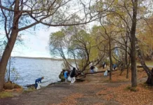 inicziativy v shartashskom lesnom parke podderzhany denisom mamontovym i elenoj elnikovoj-gazetarf-ru-0