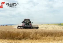 lyudmila babushkina i zakonodatelnoe sobranie sverdlovskoj oblasti podderzhivayut agrariev i razvivayut agroprom urala-gazetarf-ru-0