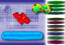 МГУ выявил рекордные химические элементы для прорывных нанотехнологий mgu vyyavil rekordnye himicheskie elementy dlya proryvnyh nanotehnologij-gazetarf-ru-0