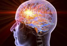 Минздрав России объяснил первые признаки инсульта и важность Центра мозга minzdrav rossii obyasnil pervye priznaki insulta i vazhnost czentra mozga-gazetarf-ru-0