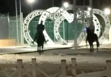 Моисеев прокомментировал резонансное нападение с всадниками в Кисловодске moiseev prokommentiroval rezonansnoe napadenie s vsadnikami v kislovodske-gazetarf-ru-0