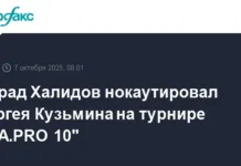На турнире IBA.PRO 10 Мурад Халидов одержал победу над Кузьминым na turnire 10 murad halidov oderzhal pobedu nad kuzminym-gazetarf-ru-0