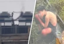 Ольга Ярославская и РЖД борются с зацепингом после трагедии в Наро-Фоминске olga yaroslavskaya i rzhd boryutsya s zaczepingom posle tragedii v narofominske-gazetarf-ru-0