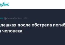 Оптимистичный взгляд на последствия обстрела в Алешках optimistichnyj vzglyad na posledstviya obstrela v aleshkah-gazetarf-ru-0