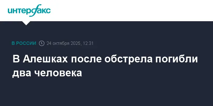 Оптимистичный взгляд на последствия обстрела в Алешках-0