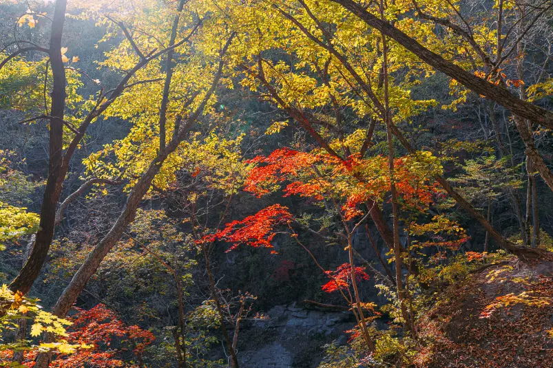 Фото: primamedia.ru