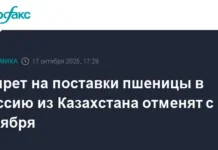 Отменен запрет на поставки пшеницы из Казахстана в Россию с 20 октября otmenen zapret na postavki psheniczy iz kazahstana v rossiyu s 20 oktyabrya-gazetarf-ru-0