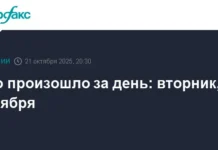 pauza mezhdu putinym i trampom lavrov po ukraine sudba sarkozi i kriptovalyuta-gazetarf-ru-0