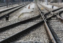 Сербия принимает меры для обеспечения безопасности, временно приостановив рейсы Србиявоз serbiya prinimaet mery dlya obespecheniya bezopasnosti vremenno priostanoviv rejsy srbiyavoz-gazetarf-ru-0