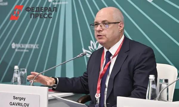 Сергей Гаврилов о росте МРОТ. Рассматриваются перспективы и поддержка от Госдумы-0