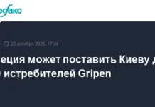 shvecziya planiruet postavit ukraine do 150 istrebitelej -gazetarf-ru-0