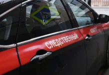 troe figurantov dela o hishhenii u bojczov svo v sheremetevo ischezli v sng-gazetarf-ru-0