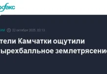 Ученые РАН и МЧС подтверждают отсутствие угрозы после землетрясения у Камчатки uchenye ran i mchs podtverzhdayut otsutstvie ugrozy posle zemletryaseniya u kamchatki-gazetarf-ru-0