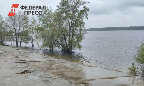 Укрепление берега Волги в Рыбинске осуществляется по инициативе Росводресурсов-0