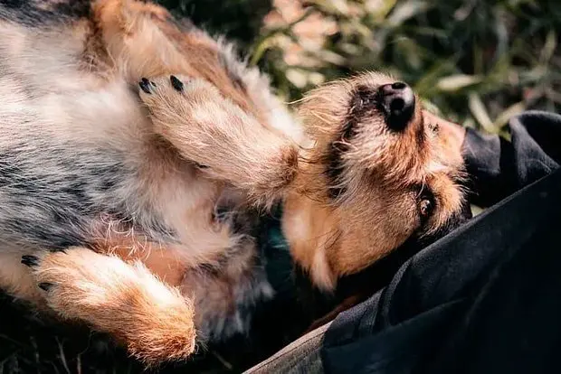 Вводная картинка