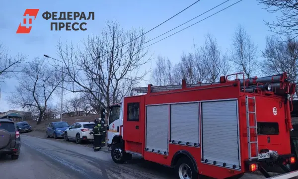 В Новосибирске произошла история с Олей и Васей, участниками полиции и счастливым финалом-0