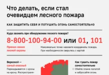 v novosibirskoj oblasti ognennye ugrozy otstupili blagodarya mchs i belozerovu-gazetarf-ru-0