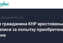 В Тбилиси задержаны граждане КНР в результате совместной работы прокуратуры и СГБ v tbilisi zaderzhany grazhdane knr v rezultate sovmestnoj raboty prokuratury i sgb-gazetarf-ru-0