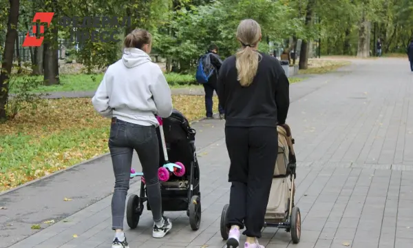 В Тюменской области изменились даты выплат для родителей от социального фонда России-0