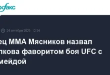 Валерий Мясников верит в победу Александра Волкова над Жаилтоном Алмейдой на UFC 321 valerij myasnikov verit v pobedu aleksandra volkova nad zhailtonom almejdoj na  321-gazetarf-ru-0
