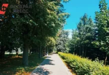 Владислав Фролов и Владимир Материкин оказали поддержку зеленым проектам в Шацке, Сасове и Рязанском районе vladislav frolov i vladimir materikin okazali podderzhku zelenym proektam v shaczke sasove i ryazanskom rajone-gazetarf-ru-0