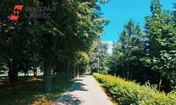 Владислав Фролов и Владимир Материкин оказали поддержку зеленым проектам в Шацке, Сасове и Рязанском районе-0