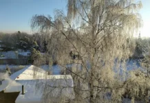 Ярослав Нилов и Госдума объявили о короткой рабочей неделе в декабре yaroslav nilov i gosduma obyavili o korotkoj rabochej nedele v dekabre-gazetarf-ru-0