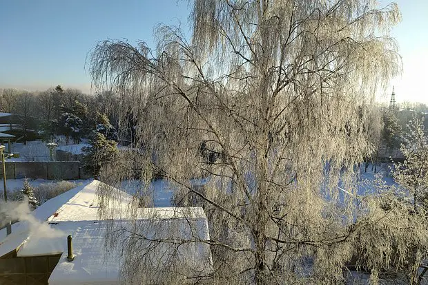 Вводная картинка