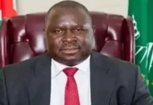 Адольф Гитлер Уунона вновь получает лидерство на выборах в Намибии adolf gitler uunona vnov poluchaet liderstvo na vyborah v namibii-gazetarf-ru-0