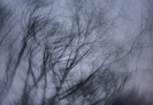 Алексей Кулеш делится новыми подробностями о поисках семьи Усольцевых в Красноярском крае aleksej kulesh delitsya novymi podrobnostyami o poiskah semi usolczevyh v krasnoyarskom krae-gazetarf-ru-0