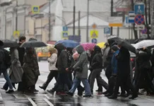 czodd moskvy rekomenduet bezopasnuyu alternativu v nepogodu-gazetarf-ru-0