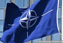 Дэниел Дэвис утверждает, что Марк Рютте и фон дер Ляйен саботируют мирный план Трампа по Украине deniel devis utverzhdaet chto mark ryutte i fon der lyajen sabotiruyut mirnyj plan trampa po ukraine-gazetarf-ru-0