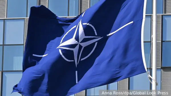 В США заявили о саботаже НАТО мирного плана по Украине