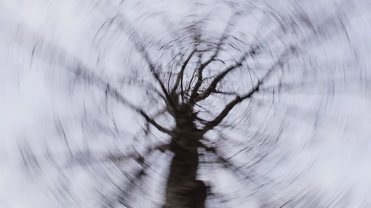 Спасатель Киселев предположил, что у МЧС появился шанс найти Усольцевых