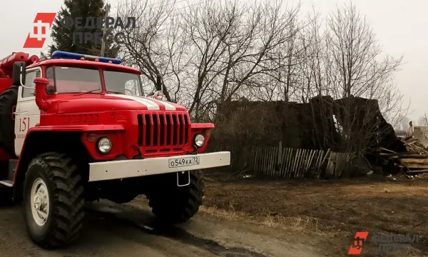 Главное управление МЧС России по Рязанской области фиксирует рост пожарной безопасности-0