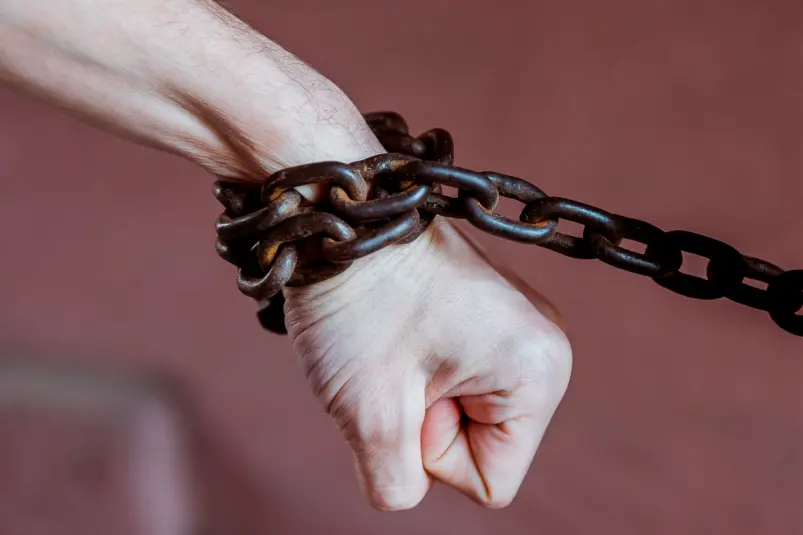 Фото: primamedia.ru