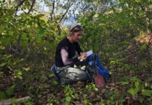 issledovanie dalnevostochnogo instituta raskryvaet tajny drevnosti na ostrove furugelma-gazetarf-ru-0