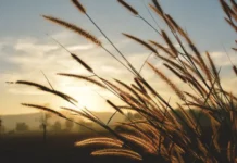 V Конгресс молодых ученых о вкладе МГУ и Курчатовского института в инновации kongress molodyh uchenyh o vklade mgu i kurchatovskogo instituta v innovaczii-gazetarf-ru-0