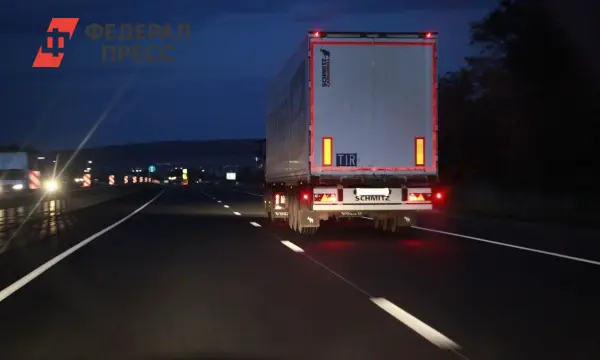 Литва и Беларусь работают над открытием КПП с Еврокомиссией-0